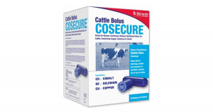 Cosecure