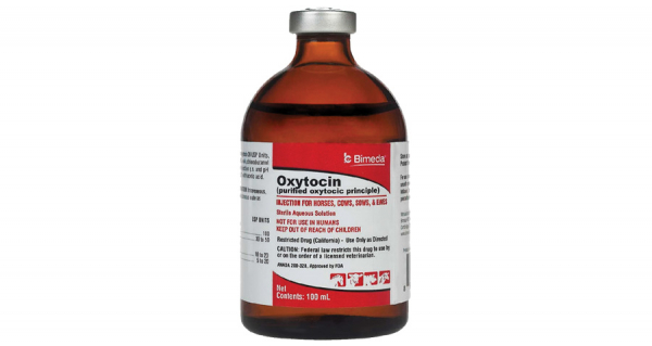 Oxytocin Injection